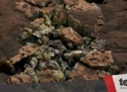 NASA deteksi belerang murni di Mars