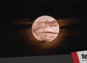 Fenomena Supermoon Blue Moon, apa yang membuatnya istimewa?